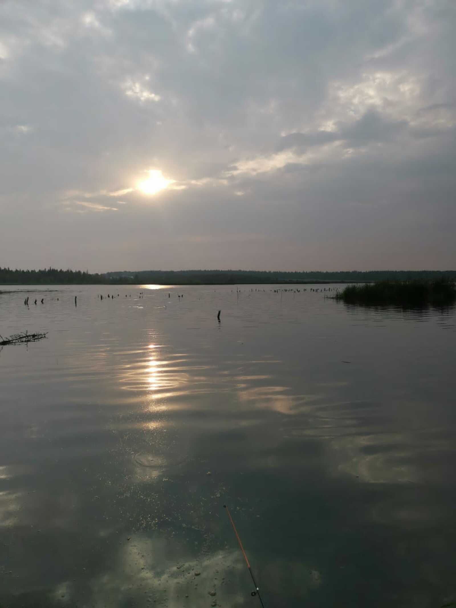 Суда  батуларының сәбәбе