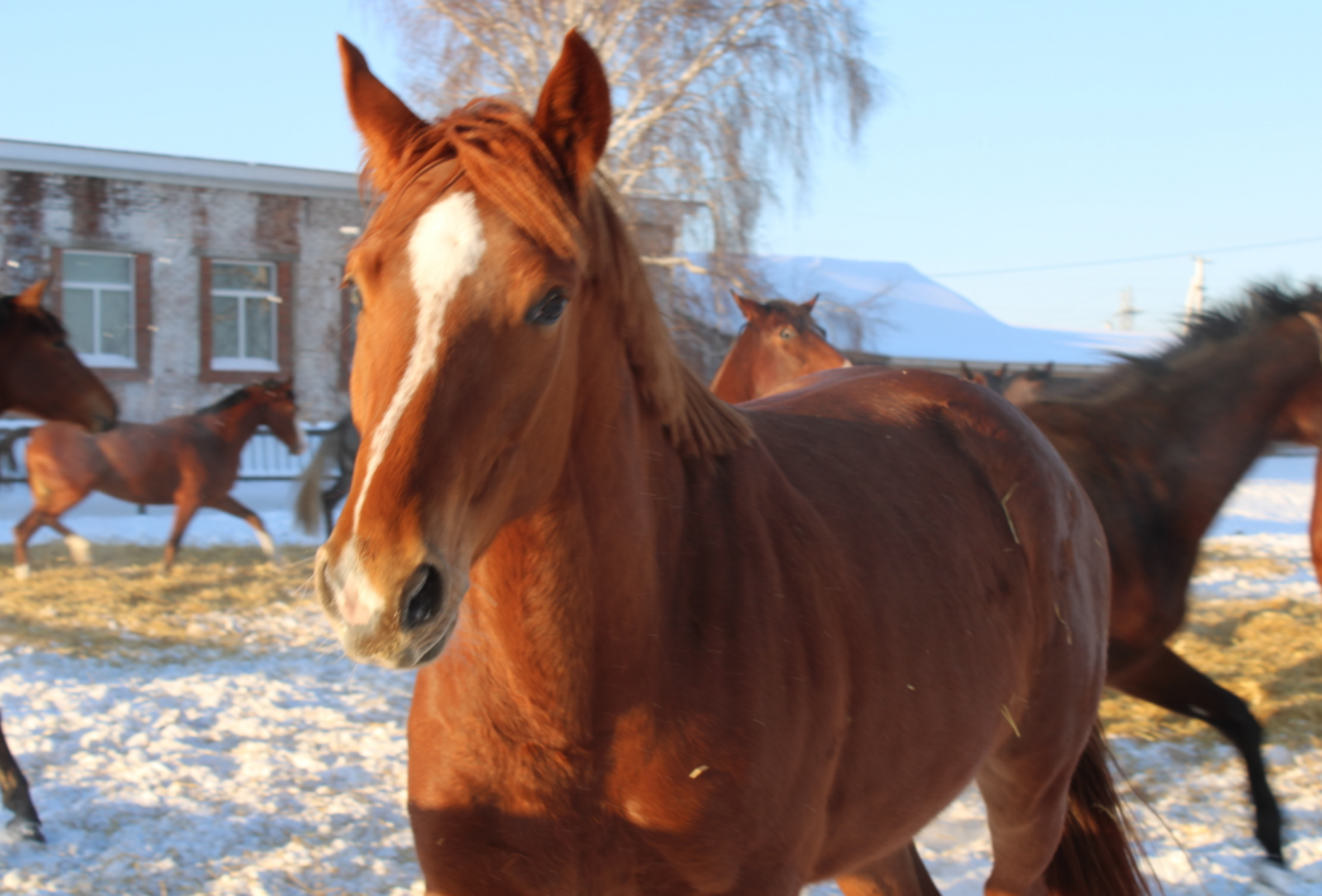 4 знака Зодиака, для которых 19 февраля станет днем выбора