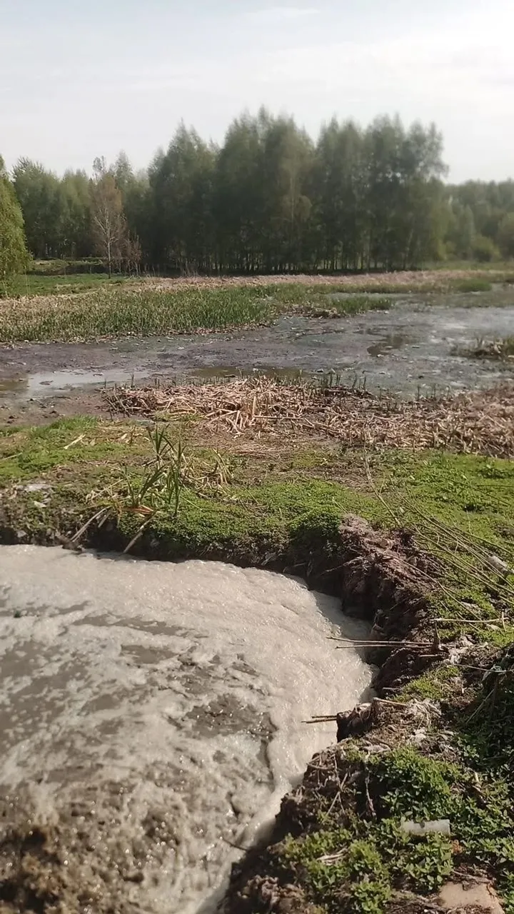 В Балтачевском районе с грузовика сливали жидкие бытовые отходы прямо на почву