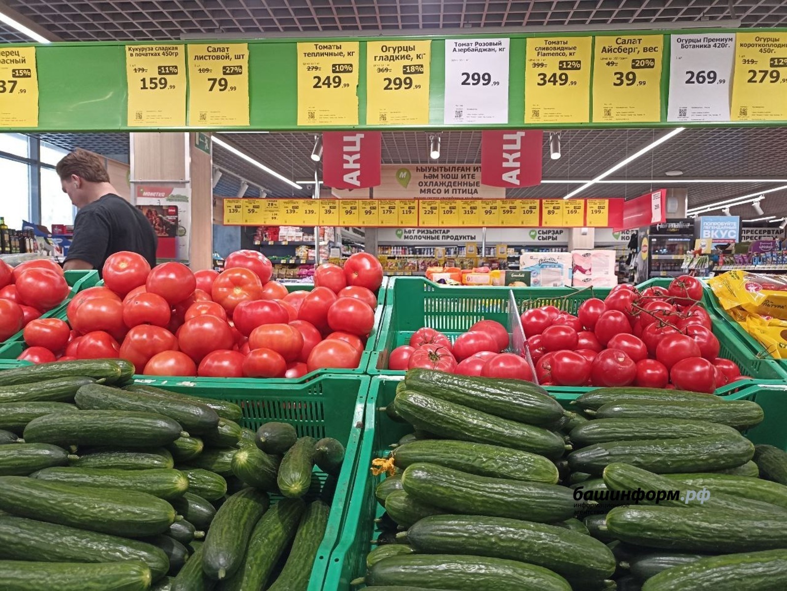 Почему подорожали огурцы - названа причина