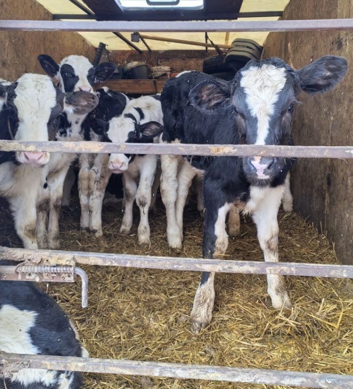 Биологик куркынычсызлык — беренче чиратта