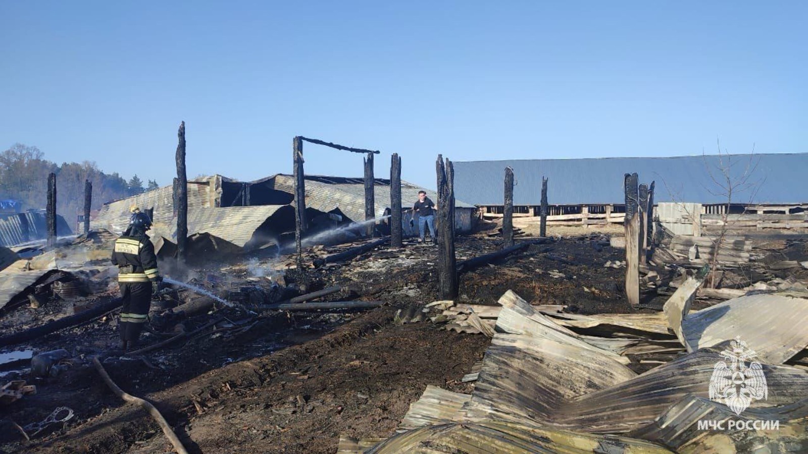 В Бирском районе у фермера сгорели 80 овец, 8 телят и 50 кур