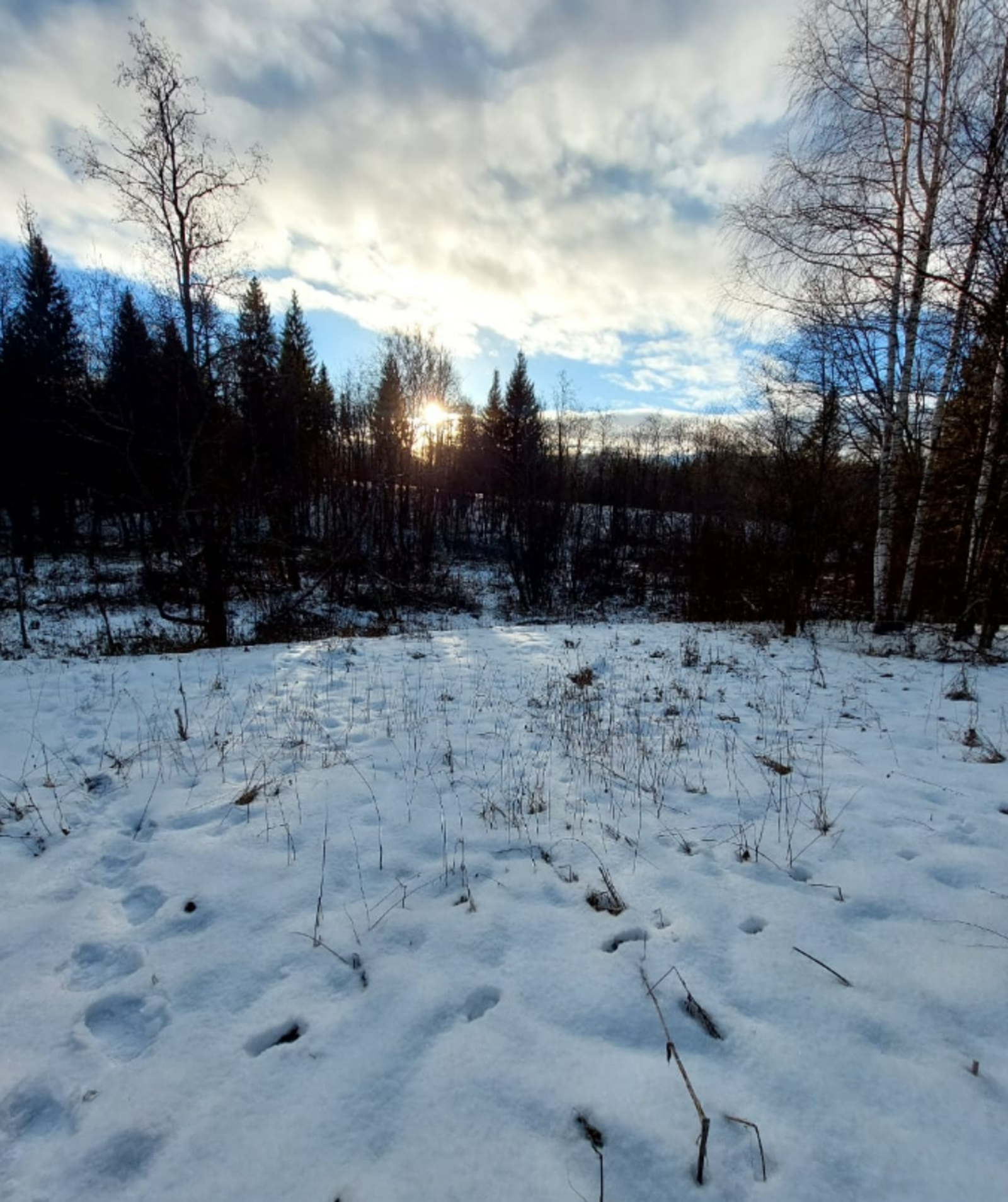 Народные приметы на 3 февраля 2026: что можно и что нельзя делать в этот день
