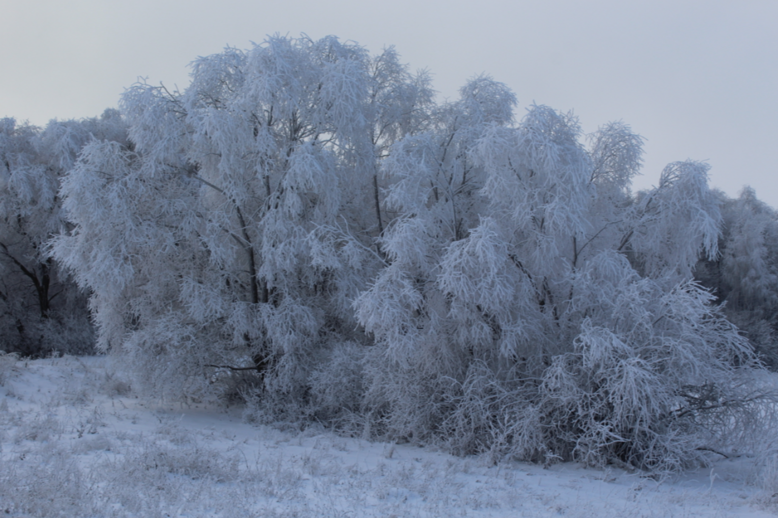 Гороскоп на 9 марта 2026 для всех знаков зодиака: что шепчут звезды