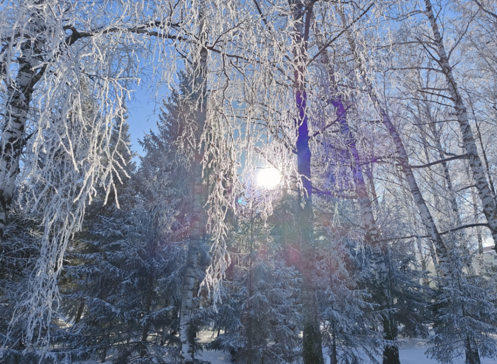 Гороскоп на 14 февраля: чего ждать каждому знаку зодиака в День влюбленных